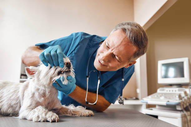  Jamestown, TN Emergency Dentist Pros